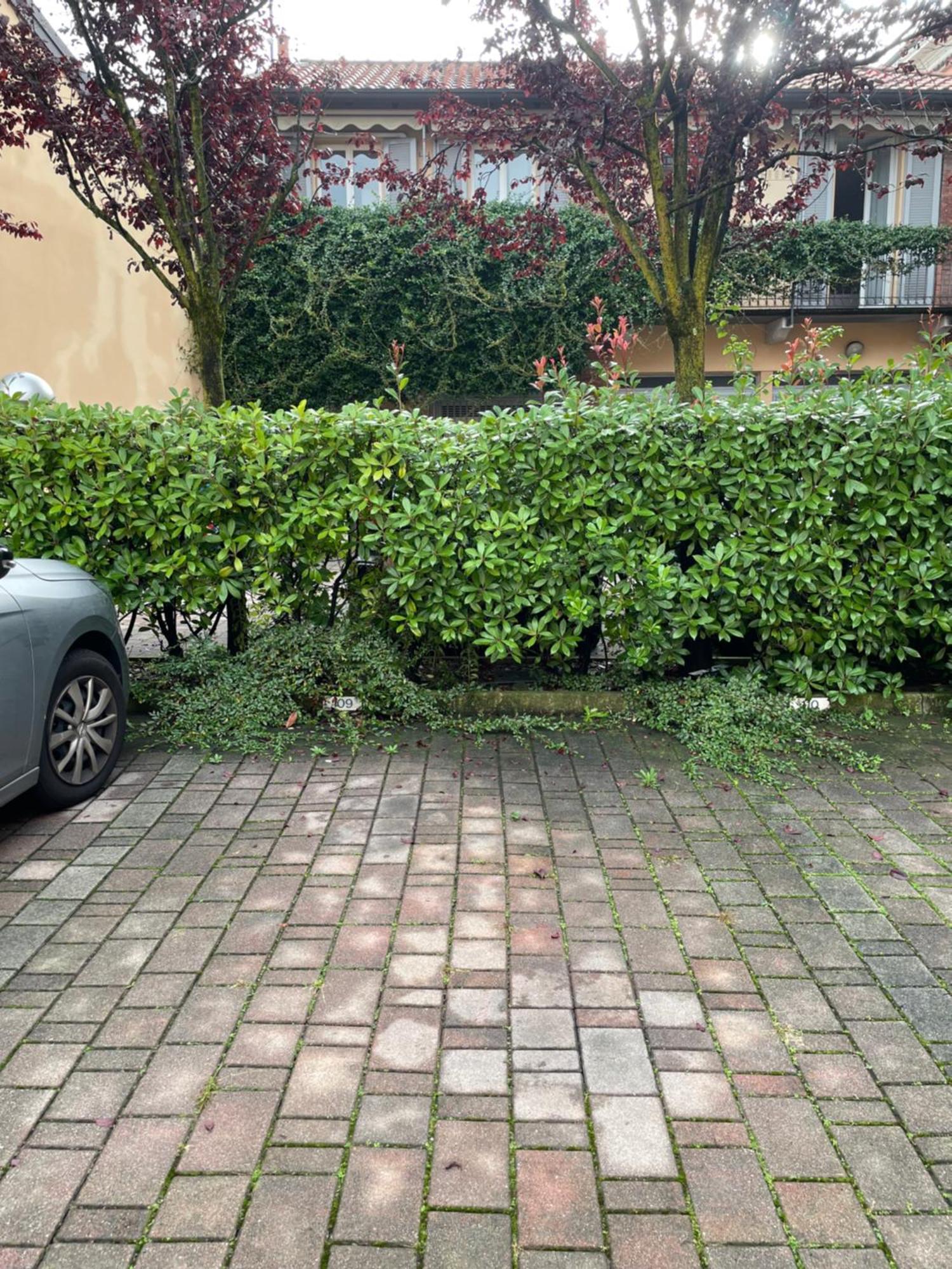 Gelsomino Appartamento Con Posto Auto Nel Centro Di Μόνζα Εξωτερικό φωτογραφία